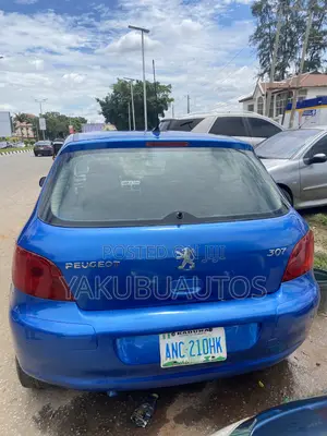 Peugeot 307 2007 Blue