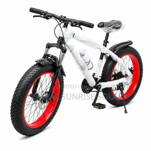 Fat Mountain Bike