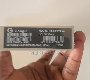 Google Pixel 9 Pro XL 256 GB Gray