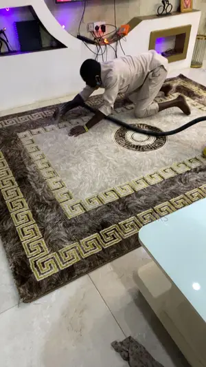 Sofa/Carpet Rug/Mattress Cleaning