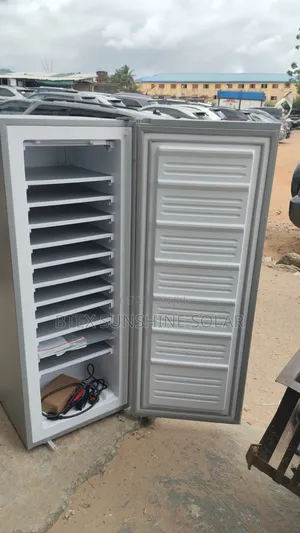 Bona Solar Freezer for Ice Blocks Market AC and AC