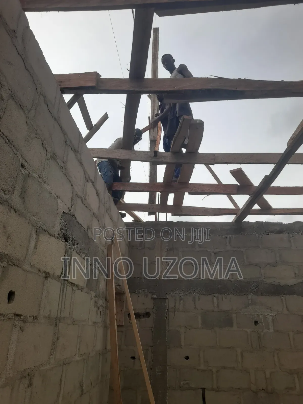 Professional Carpenter Works