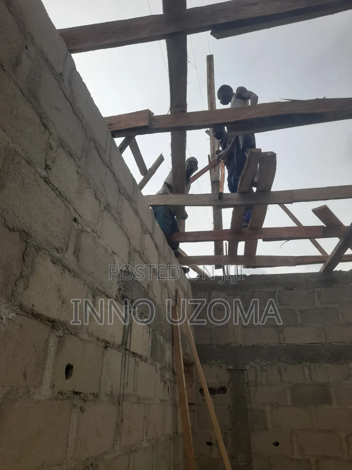 Professional Carpenter Works