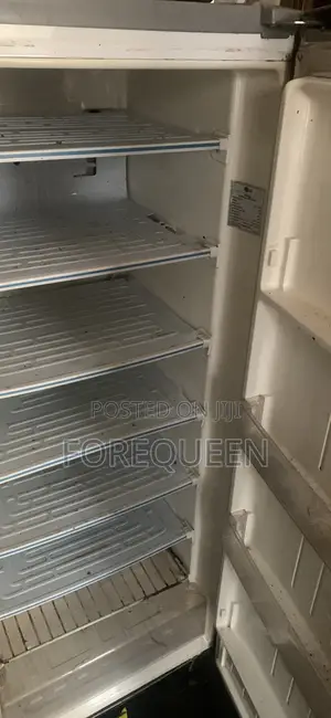 LG Standing Freezer 200 LTR