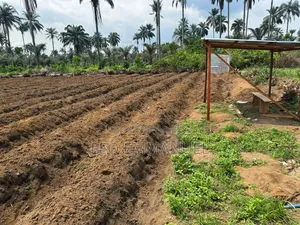 3 and Quarter Plots of Land for Sale