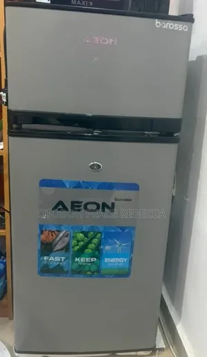 Freezer and Fridge