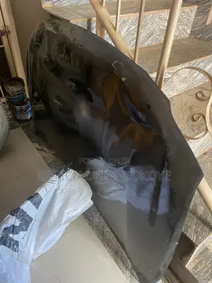 Used Bonnet for RX 350 2010-2015