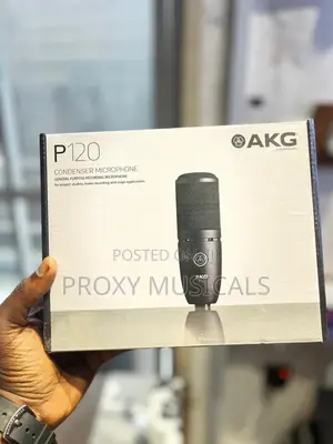 AKG P120 Studio Condenser Recording Microphone
