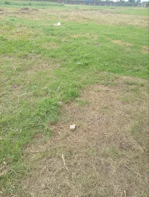A Full Plot of Land 50ftx100ft at ILUJU Off IKOYI/Ogbomosho Road