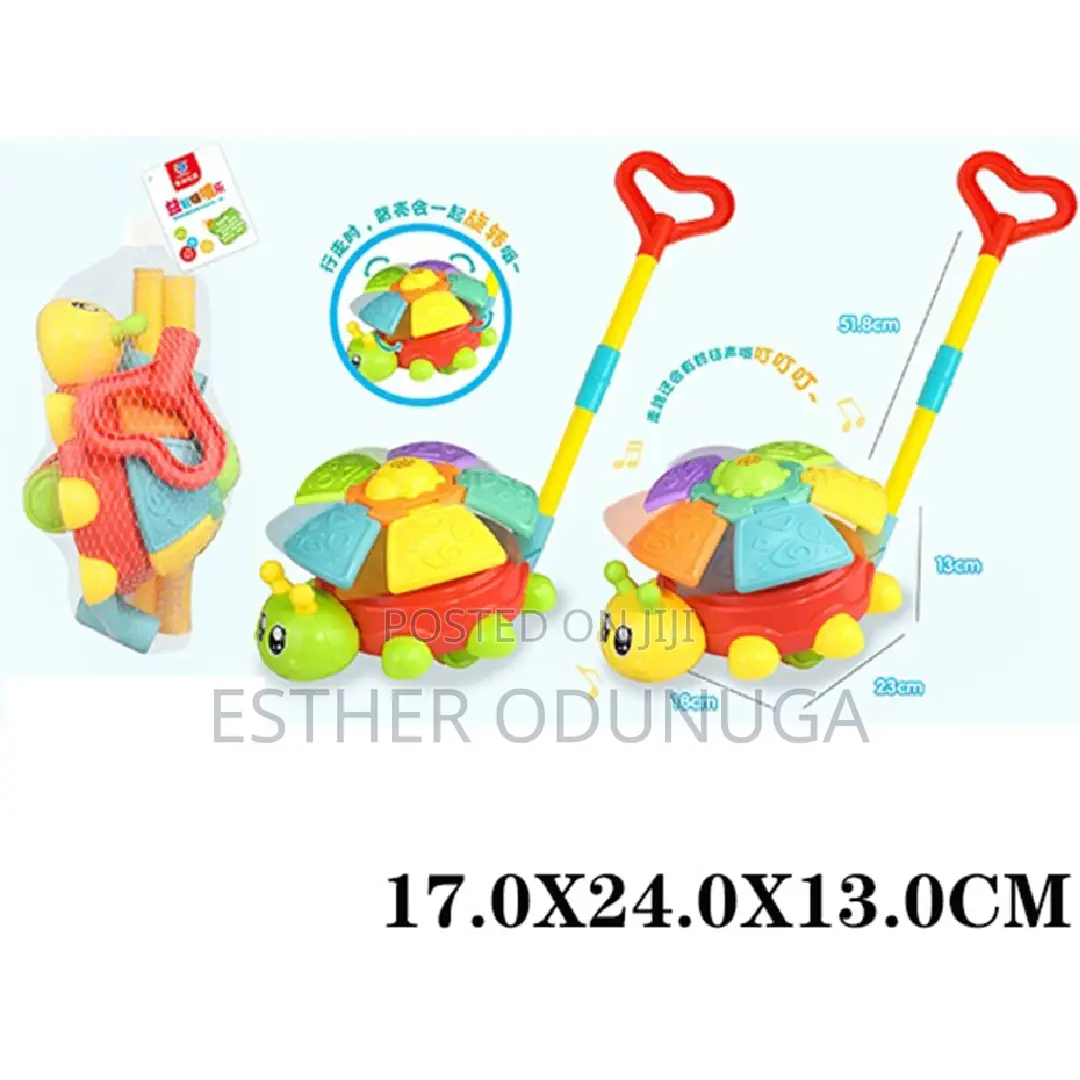 Toddler Push-and-Pull Turtle Walking Toy