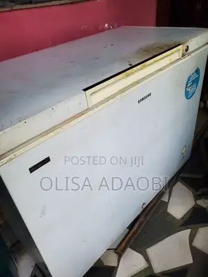 Samsung Duracool Chest Freezer 300L