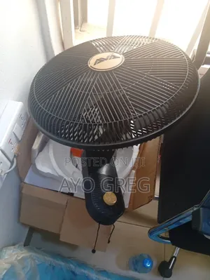 Standing Fan