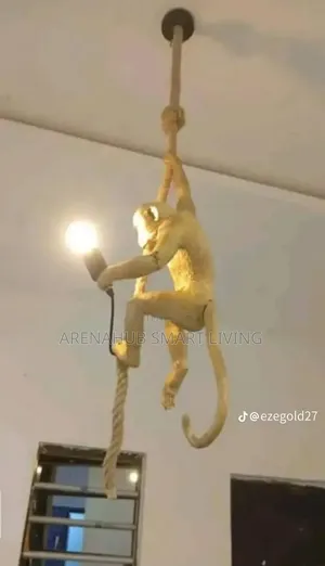 Luxury Single Pendant Dropping for Bedroom or Parlor