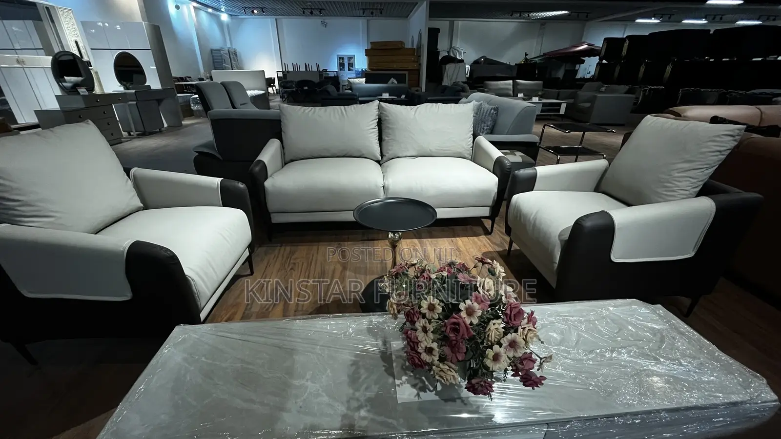 Home and Office Sofa