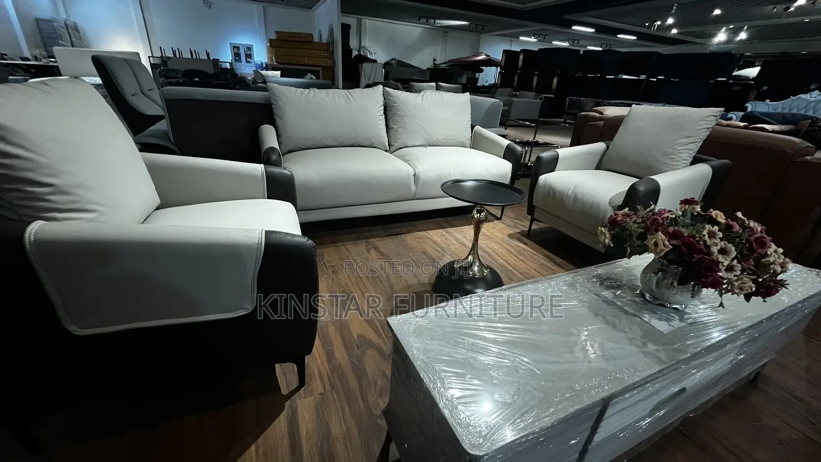 Home and Office Sofa