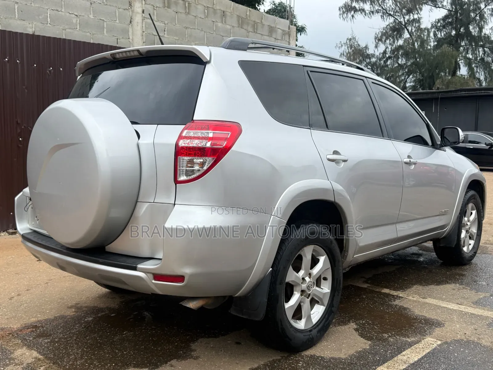 Toyota RAV4 2009 Silver