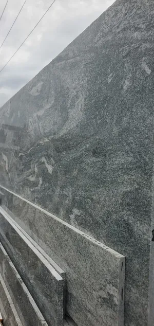 Coupon Green Granite Slab for Counter Top