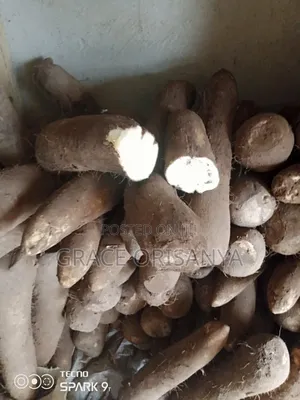 Sweet Benue Yam