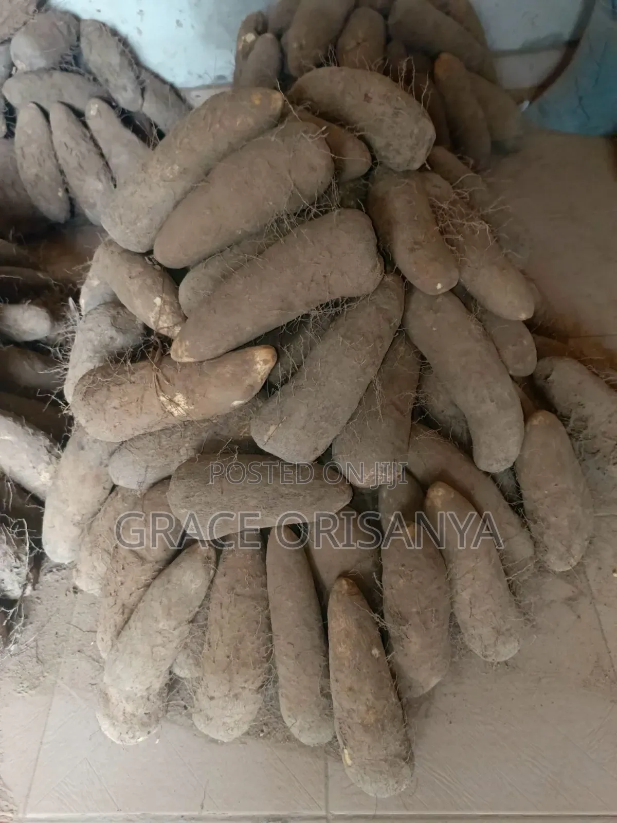 Sweet Benue Yam