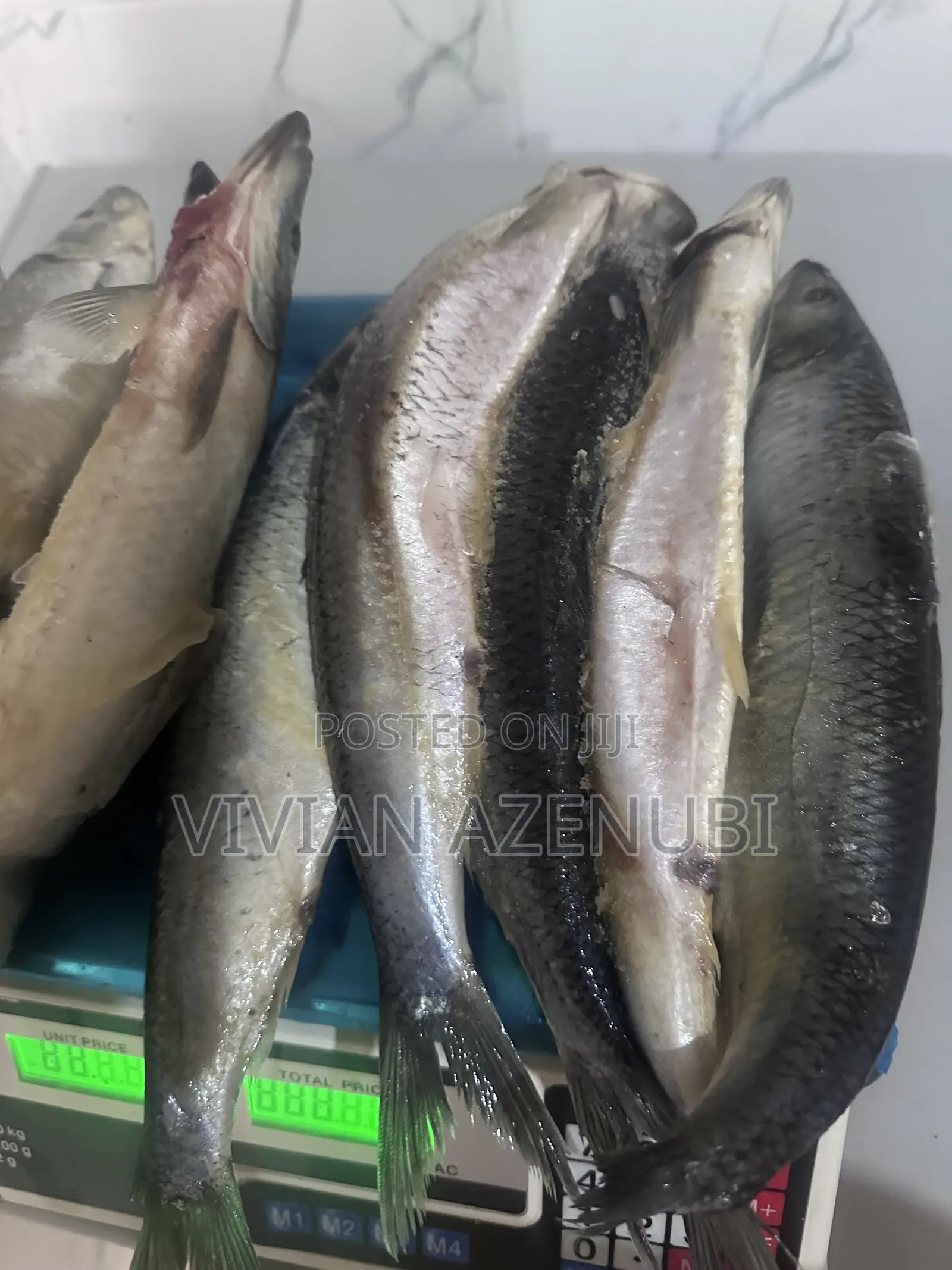 Shawa Fish