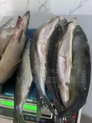 Shawa Fish
