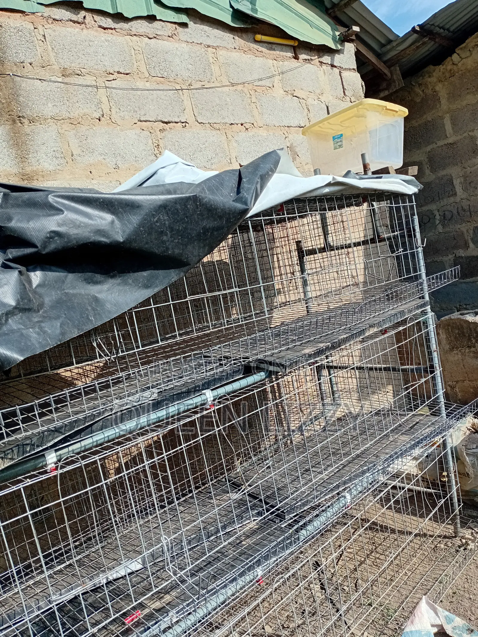 Used Metal Cage