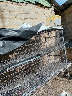 Used Metal Cage