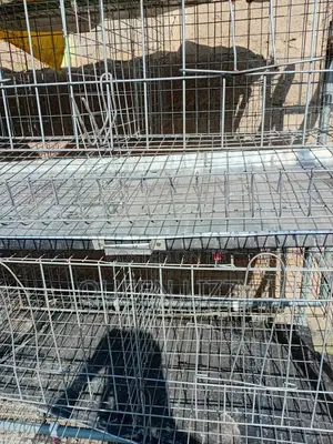 Used Metal Cage