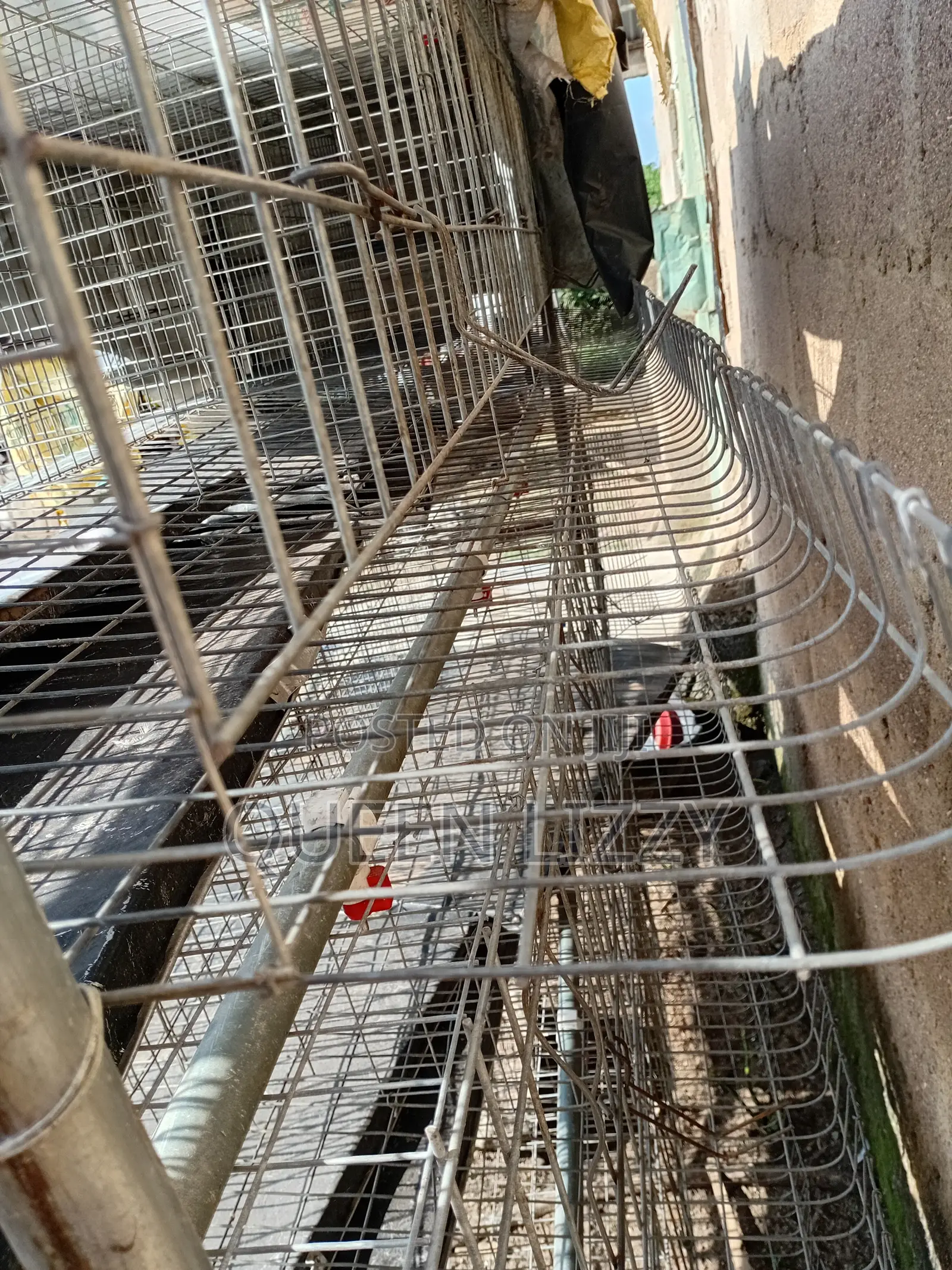 Used Metal Cage