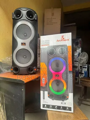 Dual-Mic Karaoke Wireless Speaker