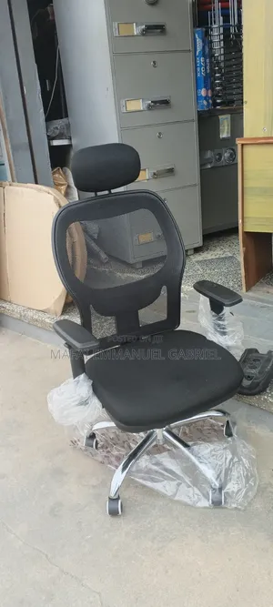Ergonomic Chair