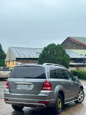 Mercedes-Benz GL-Class 2010