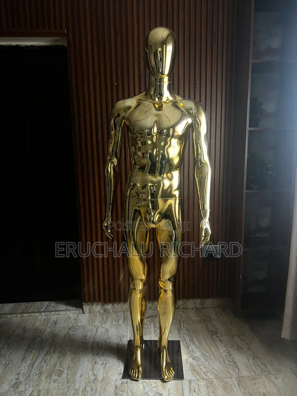 Male Mannequin