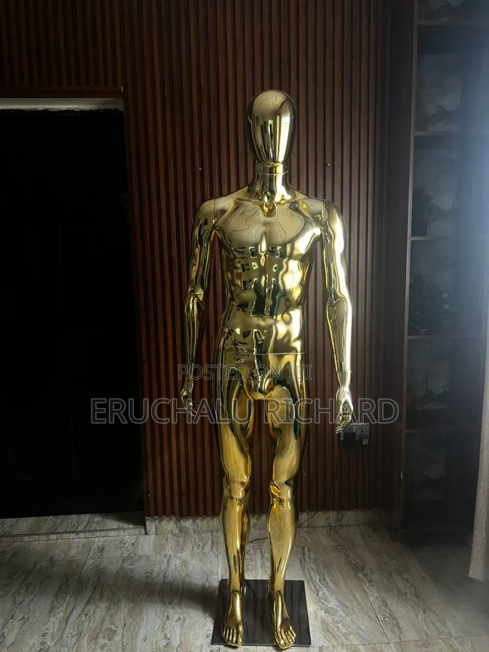 Male Mannequin