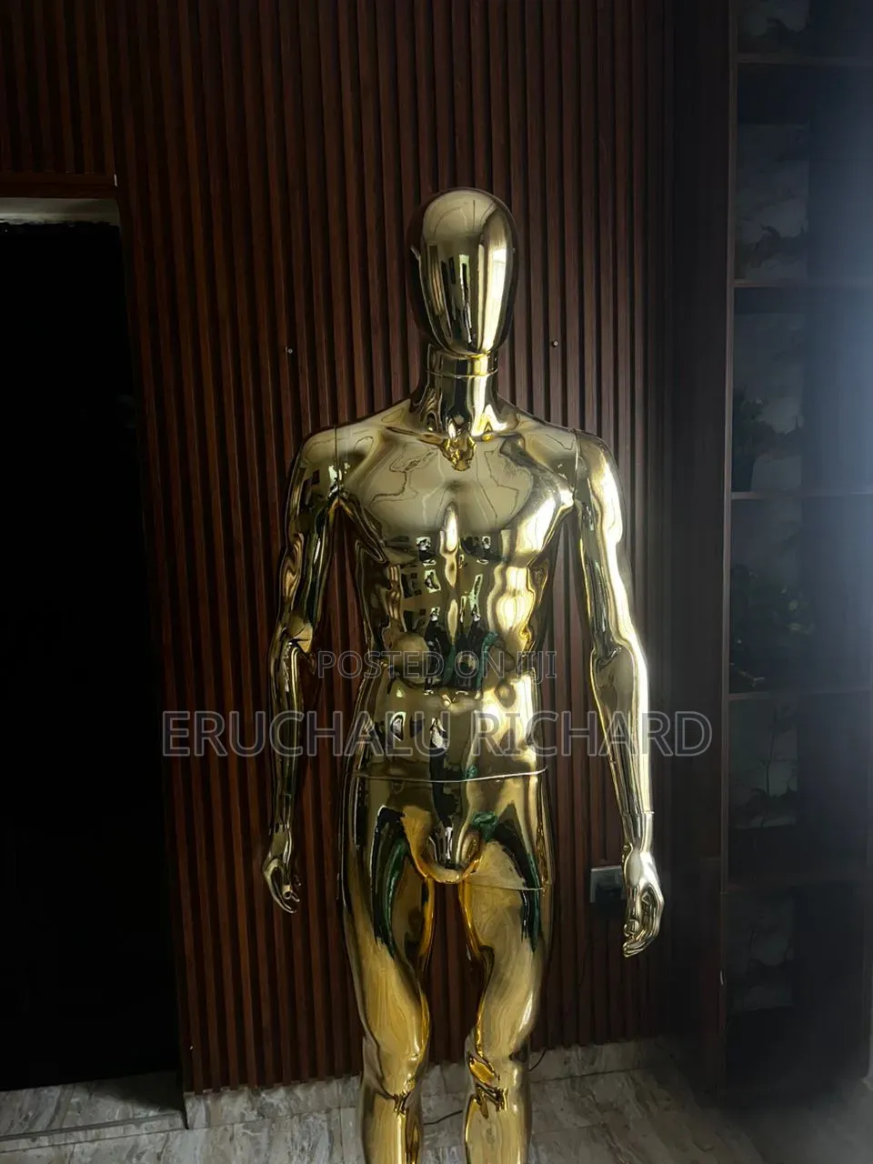 Male Mannequin