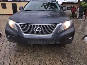 Lexus RX 2010 Gray