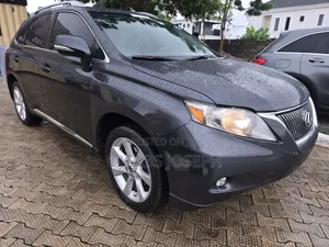 Lexus RX 2010 Gray