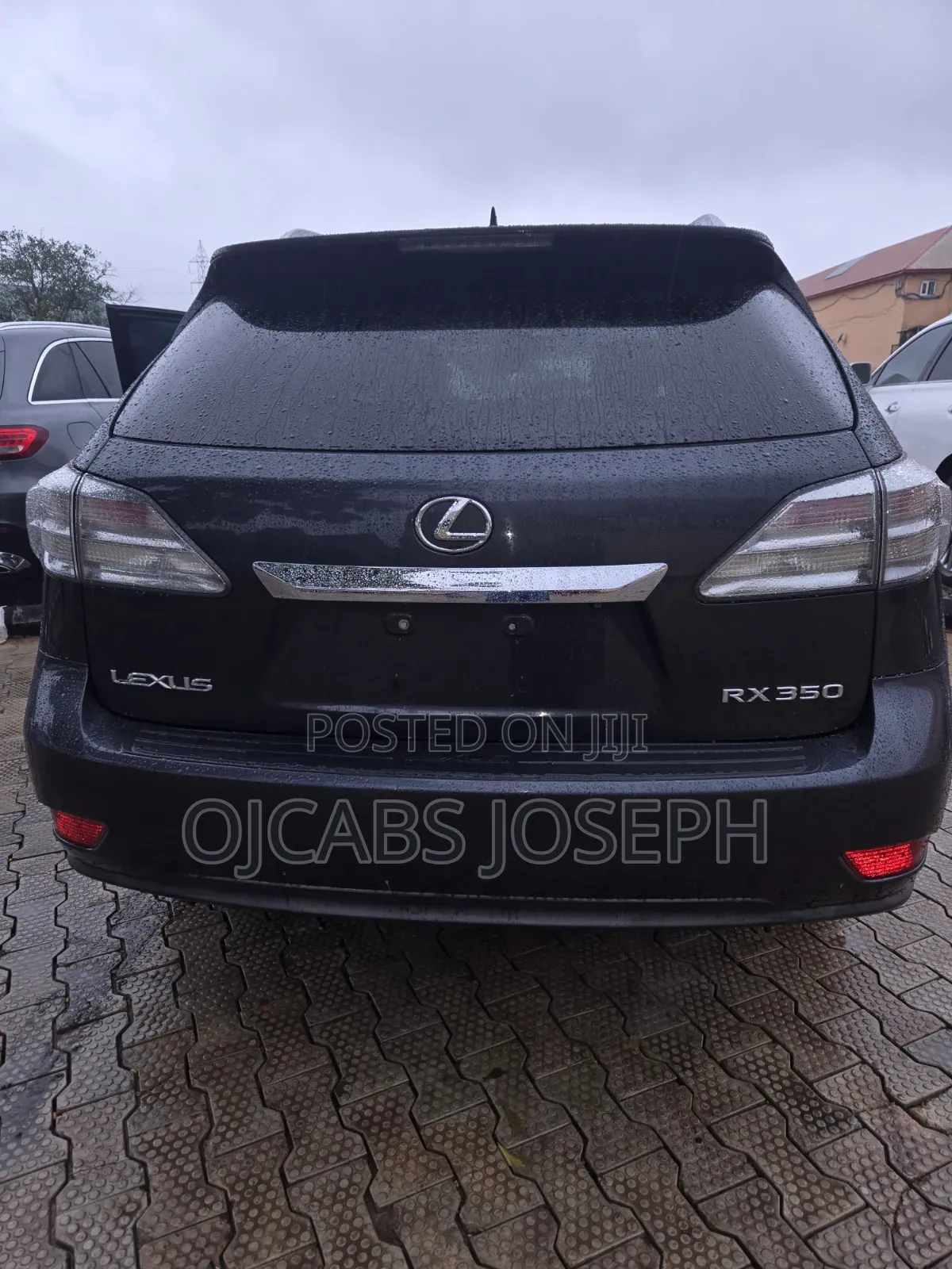 Lexus RX 2010 Gray