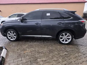 Lexus RX 2010 Gray