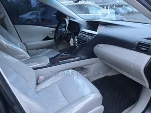 Lexus RX 2010 Gray