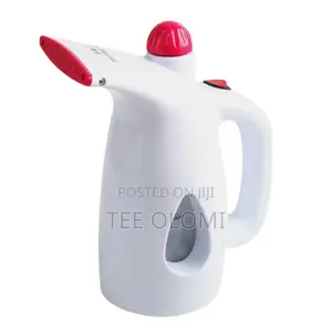 Electric Garment Face Steamer