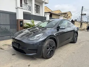 Tesla Model Y Long Range RWD 2024 Gray