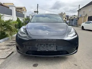 Tesla Model Y Long Range RWD 2024 Gray