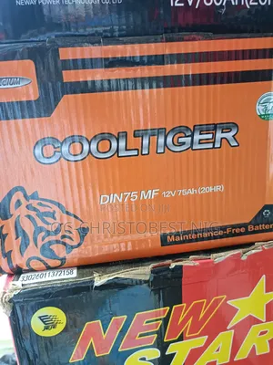 75amh Cool Tiger Battery