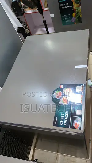 Hisense Deep Freezer 260L