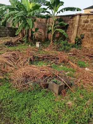 Fenced Full Plot of on Approx 650sqm