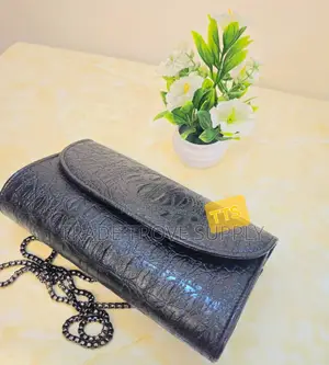 Female Fashion Bag