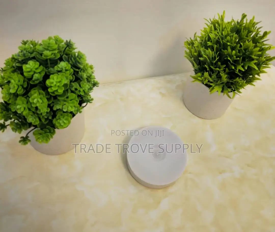 LED Sensor Light