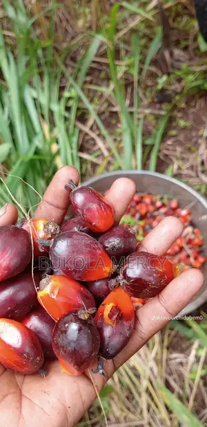 Foodstuffs