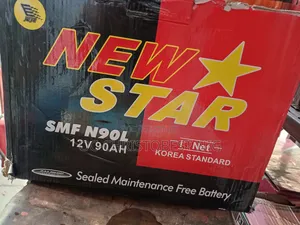 90ah New Star Battery